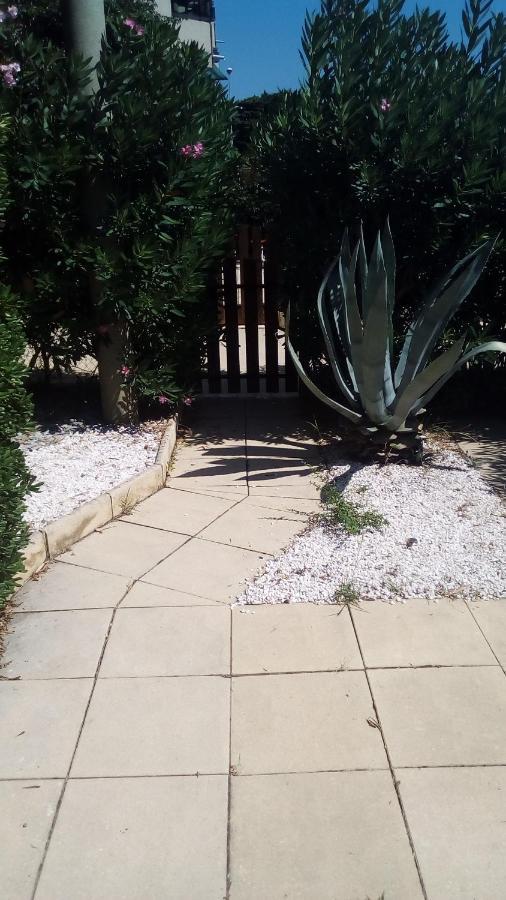 Studio De 27 M² + 70 M² De Jardin A 100 M Des Plages Cavalaire-sur-Mer Exteriör bild