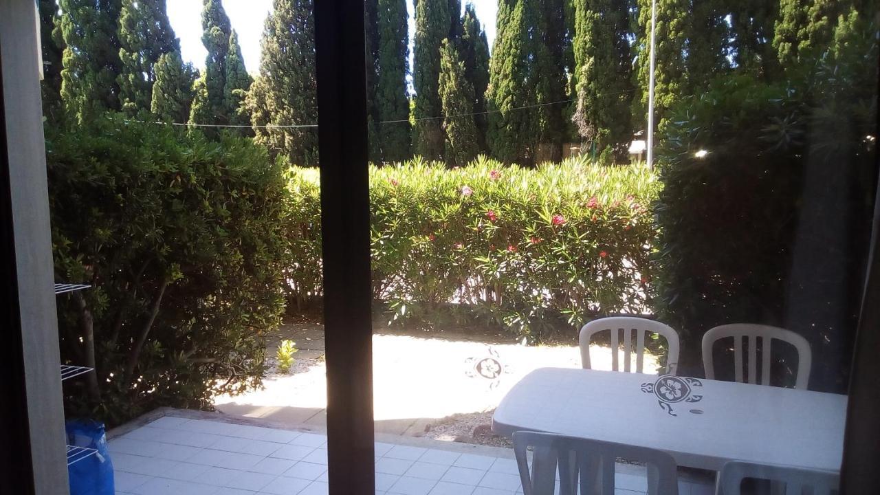 Studio De 27 M² + 70 M² De Jardin A 100 M Des Plages Cavalaire-sur-Mer Exteriör bild